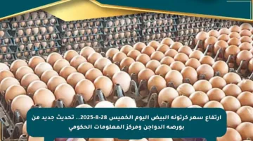 ارتفاع سعر كرتونة البيض اليوم الخميس 28-8-2025.. تحديث جديد من بورصة الدواجن ومركز المعلومات الحكومي